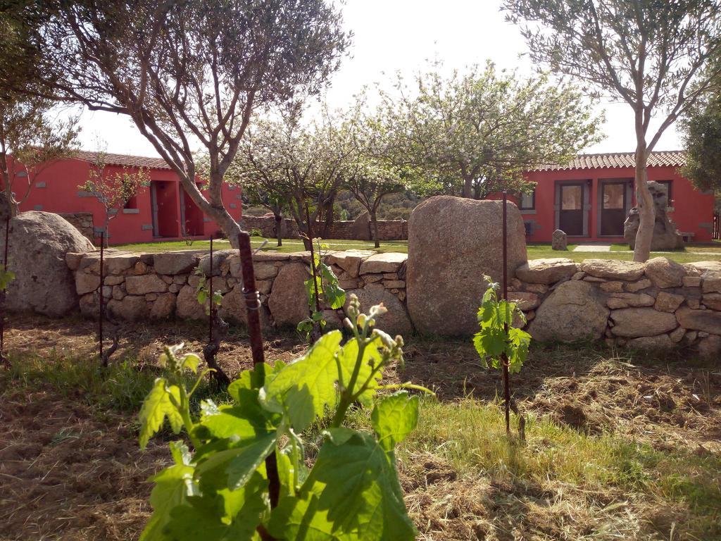 Turismo rurale l'Agliuledda Villa Sant'Antonio di Gallura Exterior foto